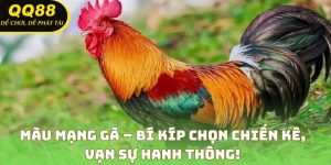 Màu Mạng Gà